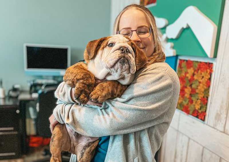 Carousel Slide 3: Dog veterinary care